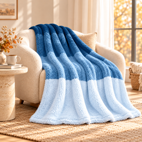 Plush Ombre Sherpa Throw Blanket