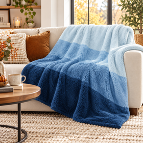 Plush Ombre Sherpa Throw Blanket