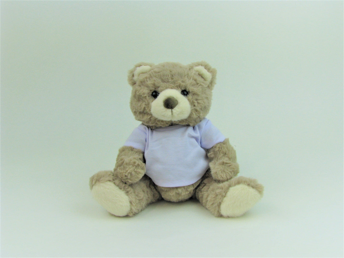 Tan Teddy Bear