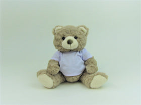 Tan Teddy Bear